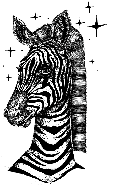 Hand-illustrated zebra portrait with starry crown — Shugert's brand mascot